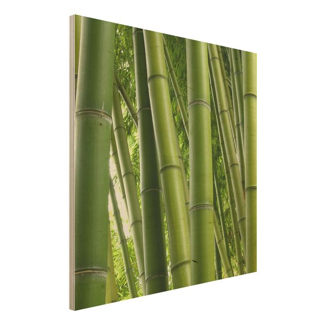 decoraçao para parede de cozinha Bamboo Trees No.1