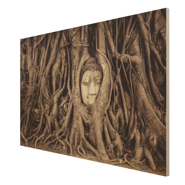 Quadros em madeira flores Buddha In Ayutthaya Lined From Tree Roots In Brown
