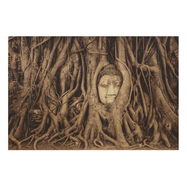 Quadros em madeira paisagens Buddha In Ayutthaya Lined From Tree Roots In Brown