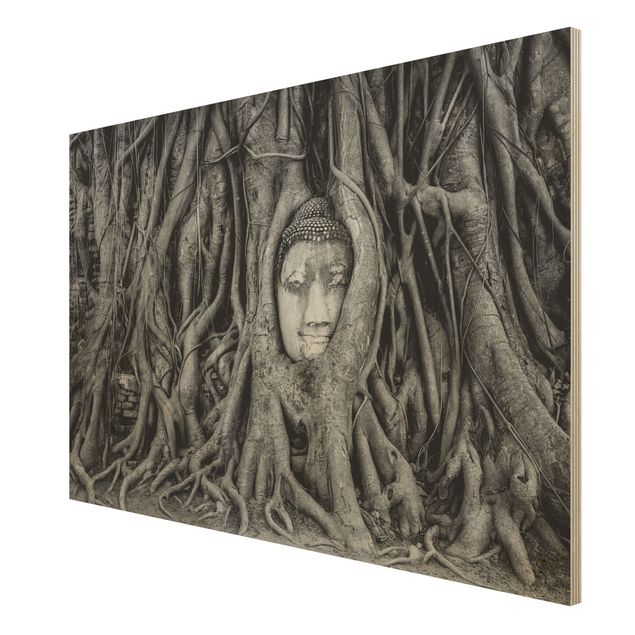 Quadros em madeira flores Buddha In Ayutthaya Lined From Tree Roots In Black And White