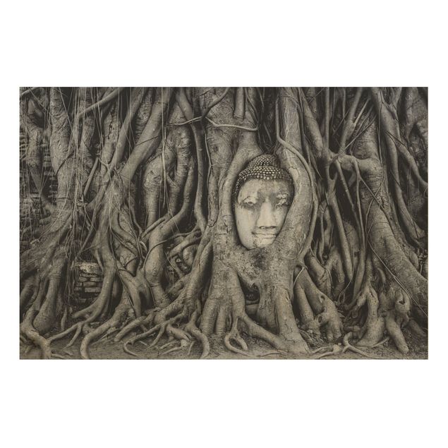 Quadros em madeira paisagens Buddha In Ayutthaya Lined From Tree Roots In Black And White