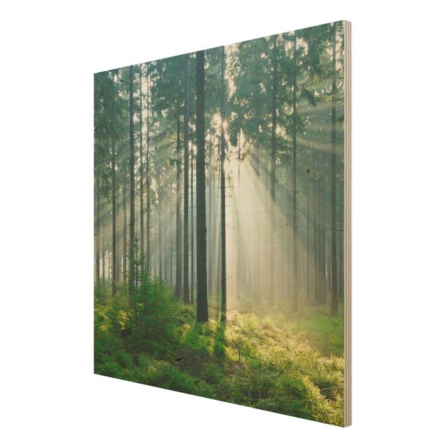 Quadros em madeira paisagens Enlightened Forest