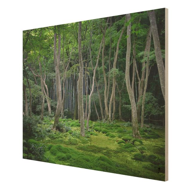 Quadros em madeira paisagens Japanese Forest
