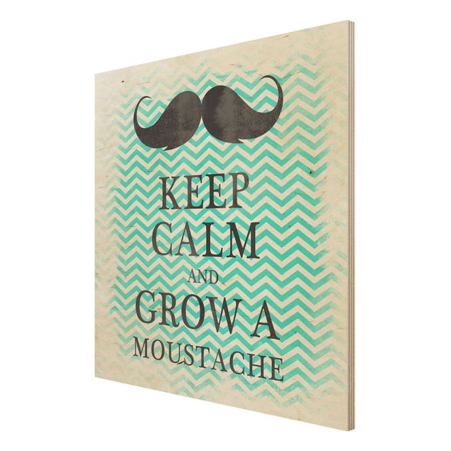 Quadros decorativos No.YK26 Keep Calm And Grow A Mustache
