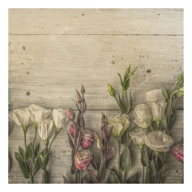 Quadros em madeira flores Tulip Rose Shabby Wood Look