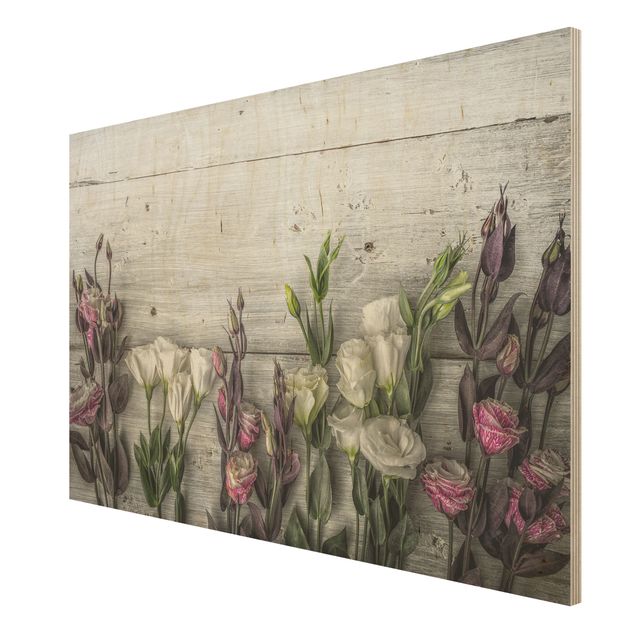 Quadros decorativos Tulip Rose Shabby Wood Look