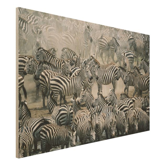 decoraçao para parede de cozinha Zebra Herd