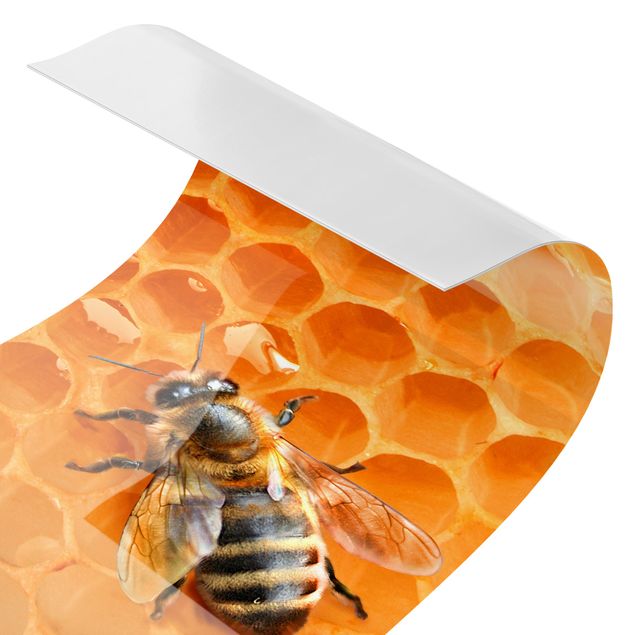 Backsplash de cozinha Honey Bee