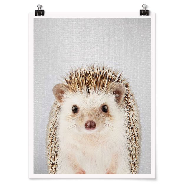 Posters animais Hedgehog Ingolf