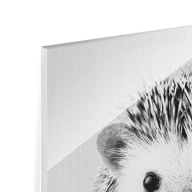 quadros para parede Hedgehog Ingolf Black And White