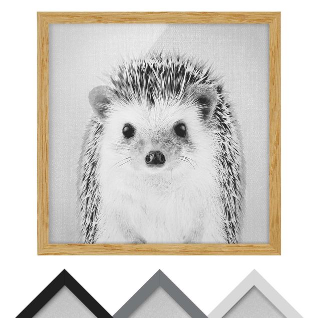 quadros preto e branco para decoração Hedgehog Ingolf Black And White