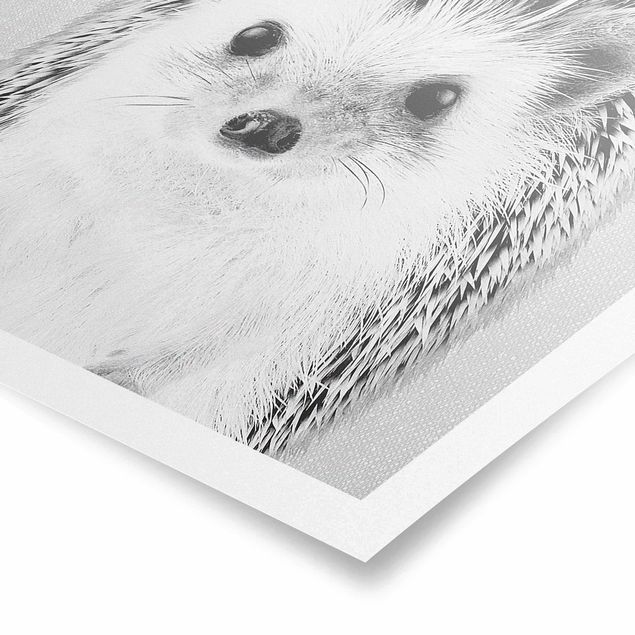 Quadros modernos Hedgehog Ingolf Black And White