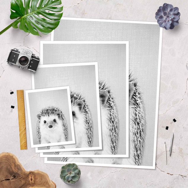 Posters Hedgehog Ingolf Black And White