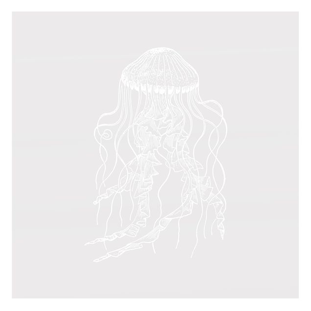 Películas de privacidade para janelas Illustration Jellyfish