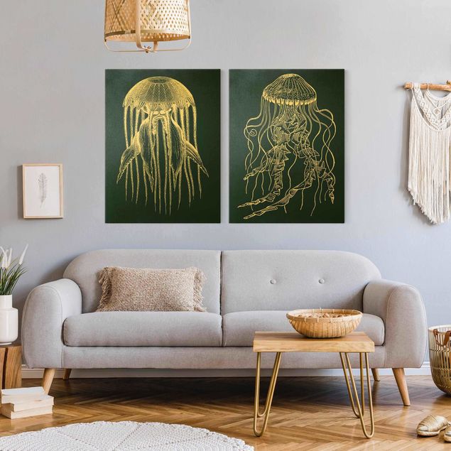 Quadros peixes Illustration Jellyfish Duo