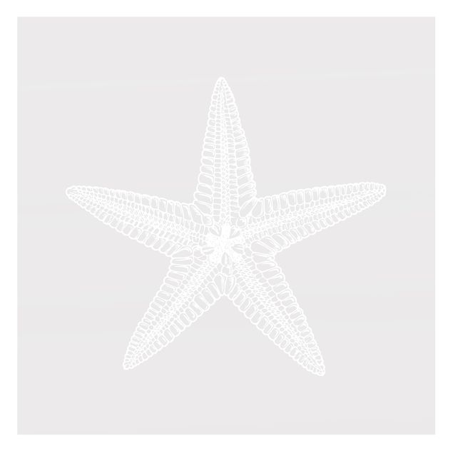 Películas de privacidade para janelas Illustration Starfish