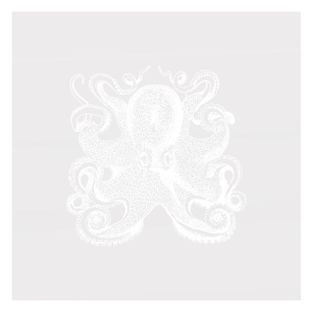 Películas de privacidade para janelas Illustration Octopus