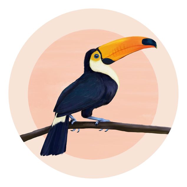 Papel de parede animais Illustration Bird Toucan Painting Pastel