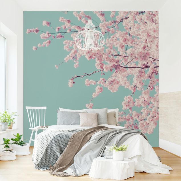 papel de parede moderno para sala Japanese Cherry Blossoms