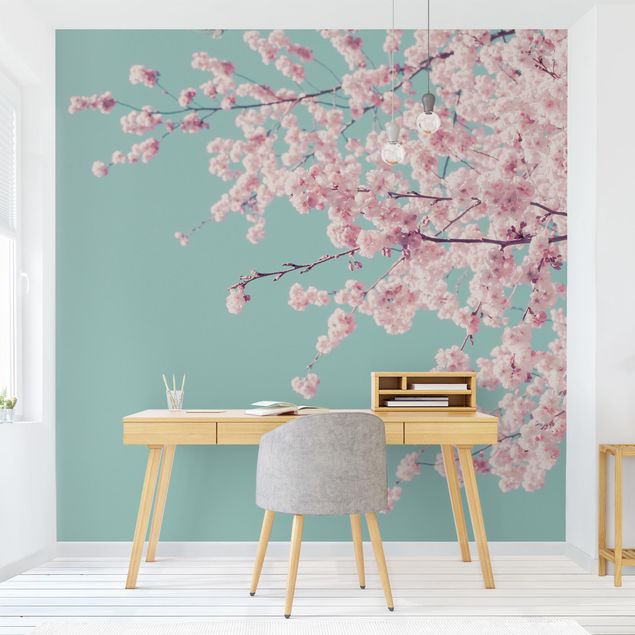 papel parede de flor Japanese Cherry Blossoms