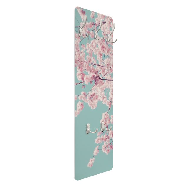 Cabides de parede Japanese Cherry Blossoms