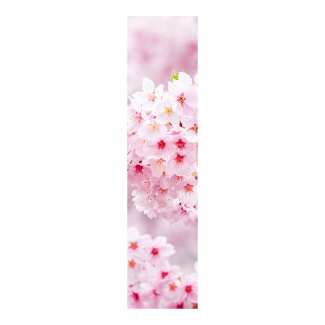 Painéis deslizantes flores Japanese Cherry Blossoms