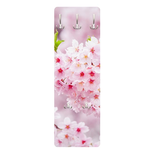 Bengaleiros de parede Japanese Cherry Blossoms