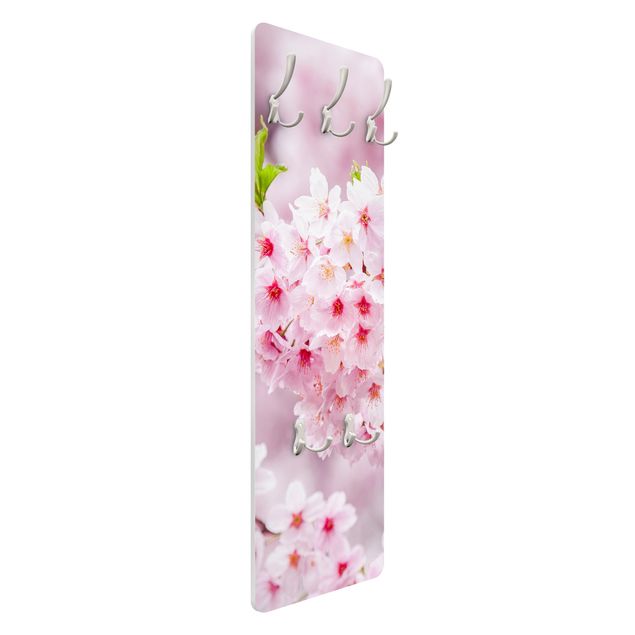 Cabides de parede Japanese Cherry Blossoms