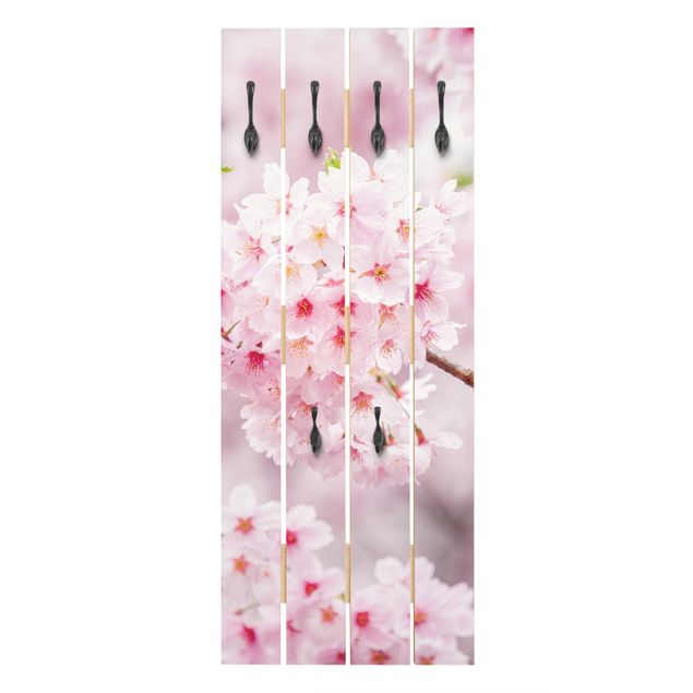 Bengaleiros de parede Japanese Cherry Blossoms
