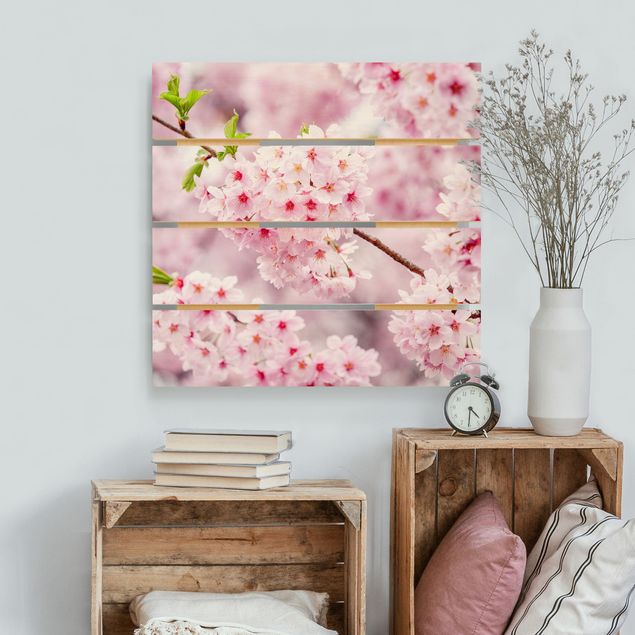 decoraçao para parede de cozinha Japanese Cherry Blossoms