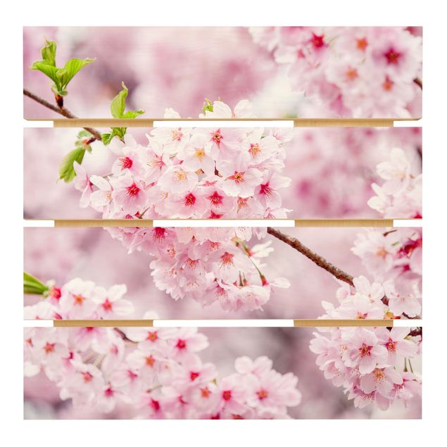 quadro de madeira para parede Japanese Cherry Blossoms