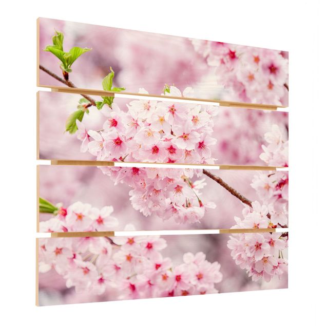 Quadros em madeira Japanese Cherry Blossoms
