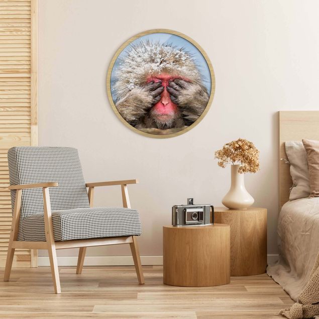 quadros decorativos para sala modernos Japanese Macaque