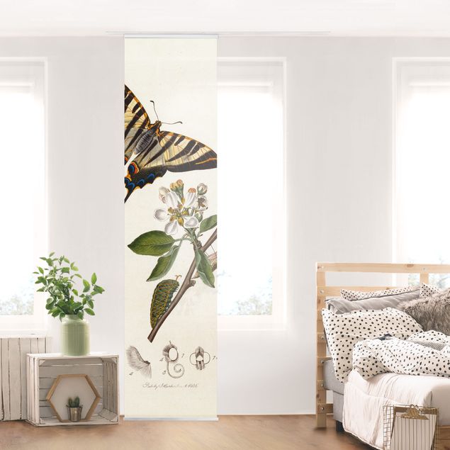 decoraçao para parede de cozinha John Curtis - A Scarce Swallow-Tail Butterfly