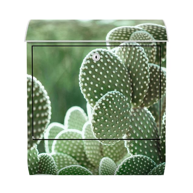 Caixa correio verde Cacti