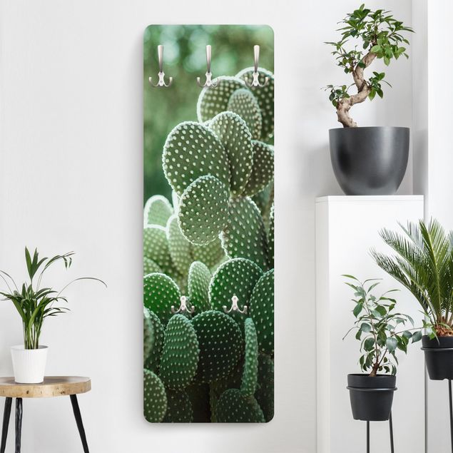 Cabides de parede flores Cacti