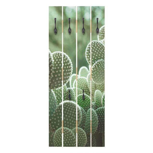 Bengaleiros de parede Cacti