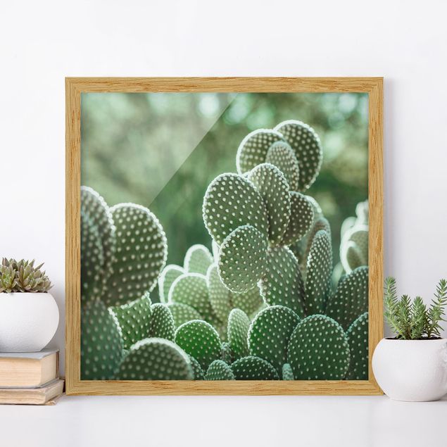 decoraçao cozinha Cacti