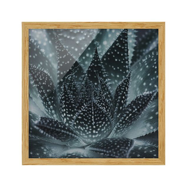quadro com flores Cactus Drizzled With Starlight At Night