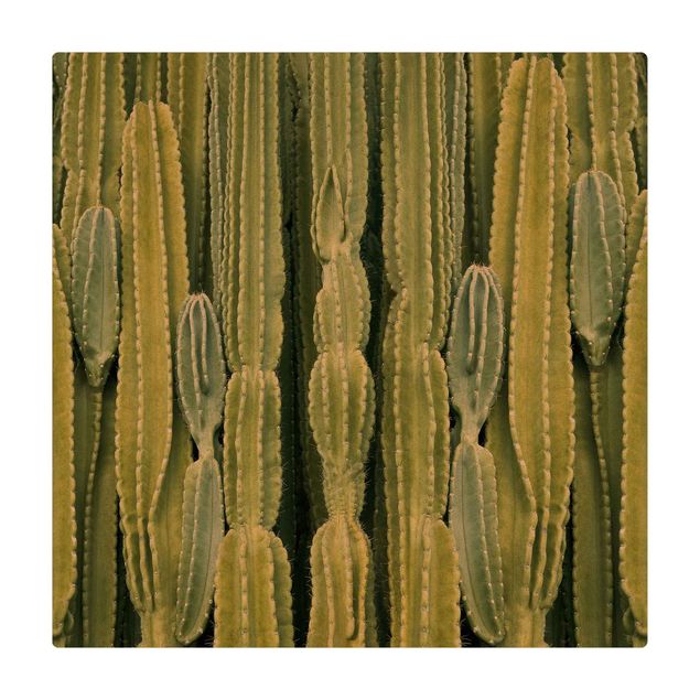 Tapete de cortiça Cactus Wall