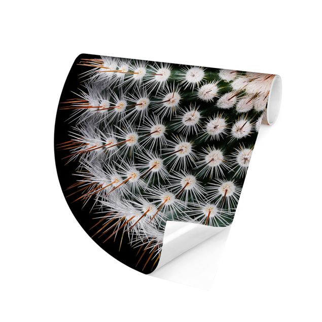 papel de parede moderno para sala Cactus Flower
