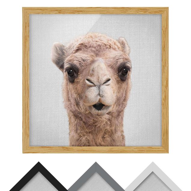 Quadros decorativos Camel Konrad