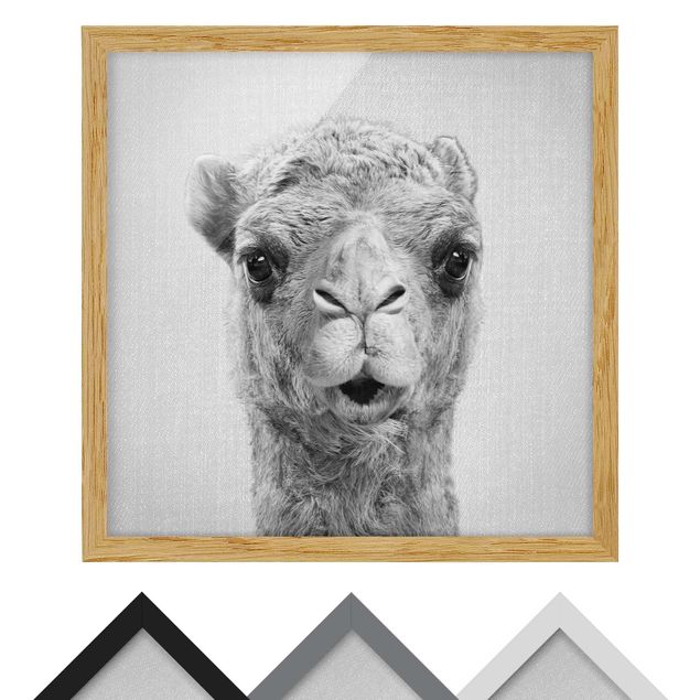 decoração quadros Camel Konrad Black And White