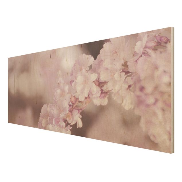 Quadros decorativos Cherry Blossoms In Purple Light
