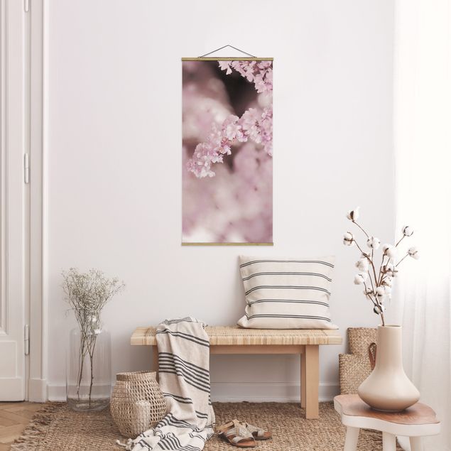 quadro com flores Cherry Blossoms In Purple Light