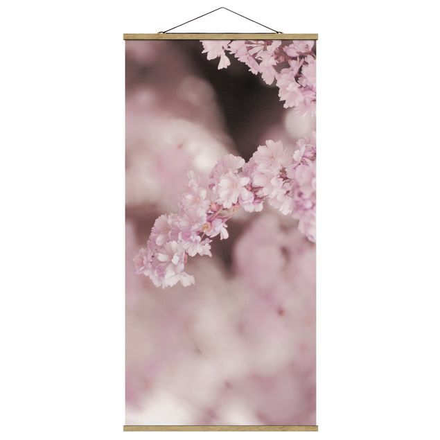Quadros modernos Cherry Blossoms In Purple Light