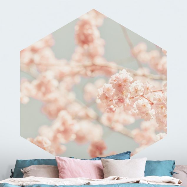 papel de parede para quarto de casal moderno Cherry Blossom Glow