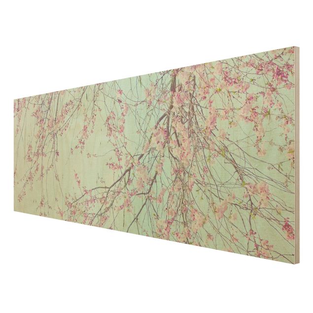 quadros para parede Cherry Blossom Yearning