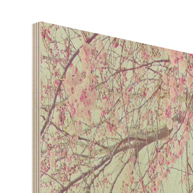 Quadros em madeira Cherry Blossom Yearning