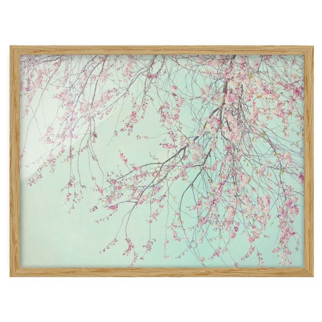 quadros de flores Cherry Blossom Yearning